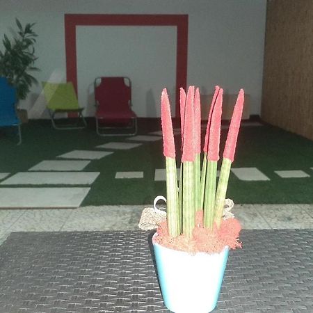 Casa "Settima Essenza" Apartment Surbo Bagian luar foto